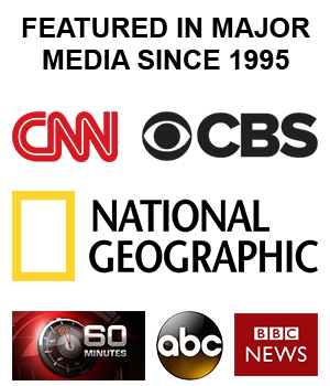 City of Brides Media logo